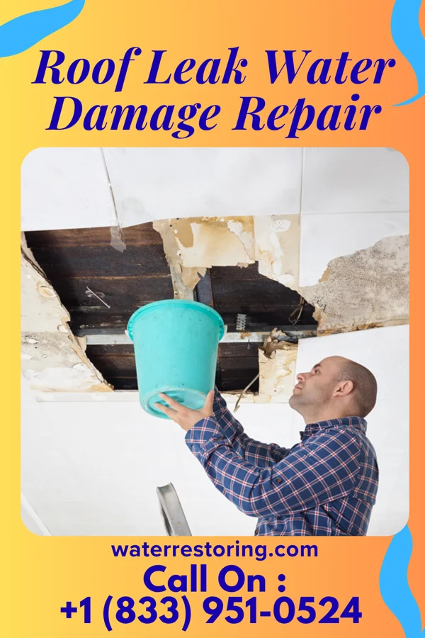 Roof Leak Water Damage Repair in Graysville, OH