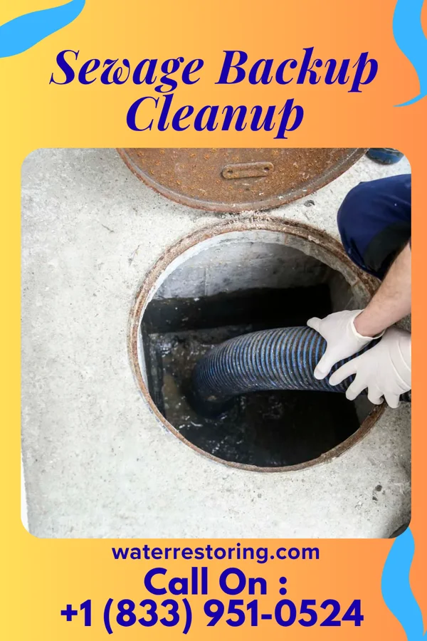 Sewage Backup Cleanup in Graysville, OH