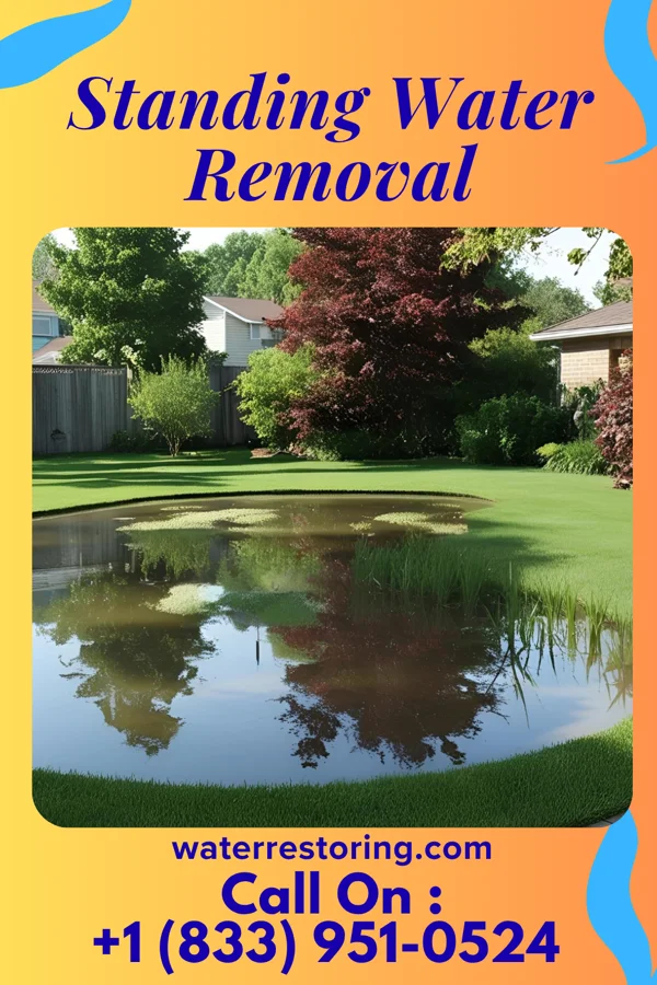 Standing Water Removal in Graysville, OH